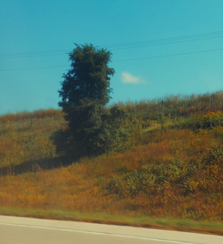 Untitled Untitled